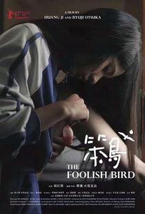 《笨鸟》在线观看,励志成长，逆风飞翔的青春传奇