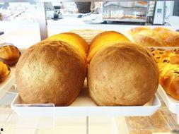 娱乐吃瓜君 面包,揭秘面包背后的故事与魅力