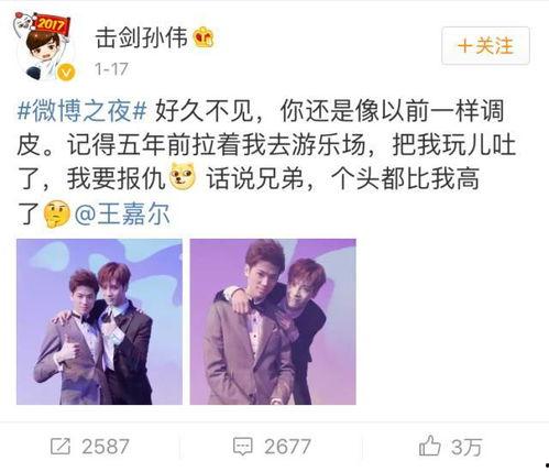 娱乐圈吃瓜双男主小说,瓜田里的甜蜜邂逅