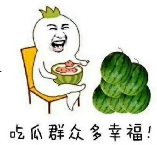 娱乐吃瓜小象是谁啊,网络红人的崛起之路