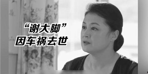 娱乐圈的吃瓜影帝在线