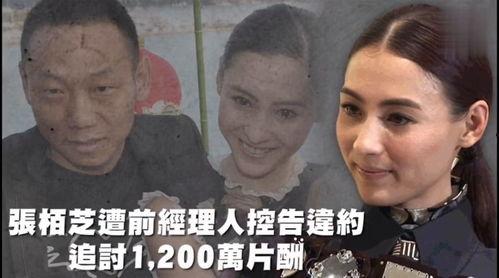 824娱乐吃瓜,揭秘娱乐圈最新吃瓜事件