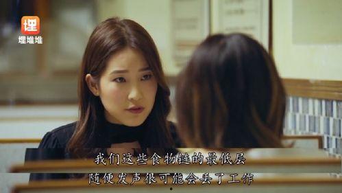 吃瓜娱乐圈小说